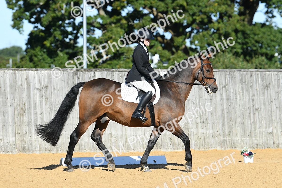 SBM_16184 - D4 - Small Tour Championship - Intro B