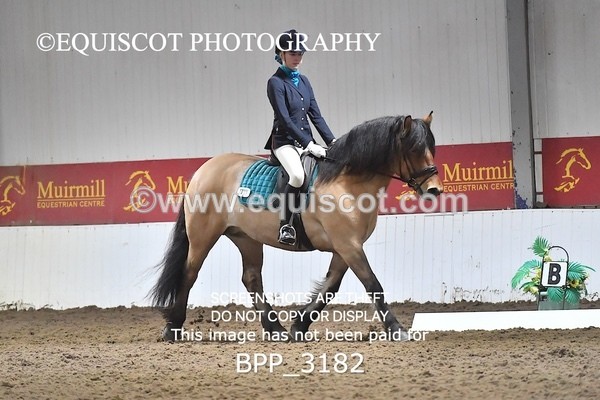 BPP_3182 - INTRO TEST 3