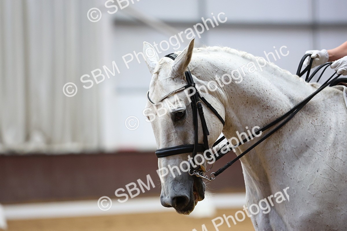 SBM_019320 - Class 6 - Ele FSM