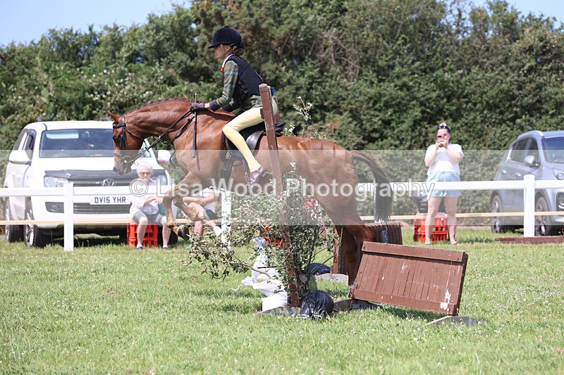 JPP_2579 - Class 21: Working Hunter 60cm