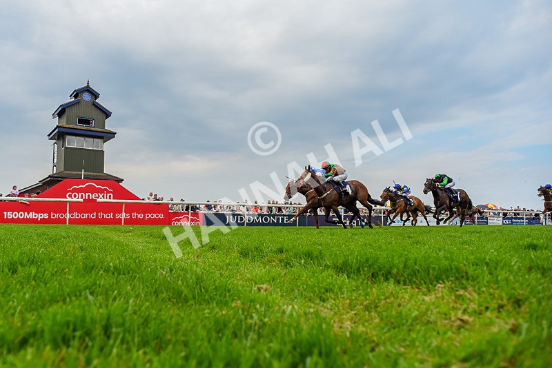 060524-Race 5-Original Thinker-9145