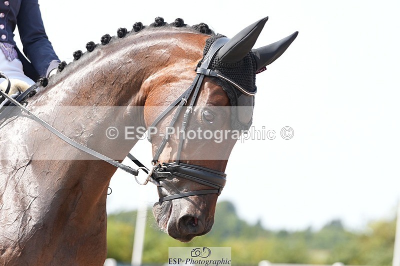 250815-145406-01881 - 023-Chloe.DawesDanibelle.Delicious