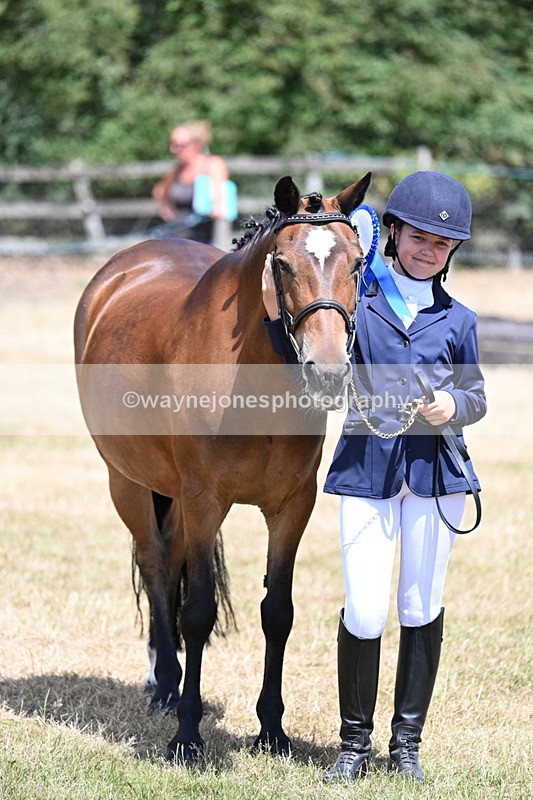 WJ7_2251 - Class 5 Most Handsome Gelding (up to 14.2hh) in hand