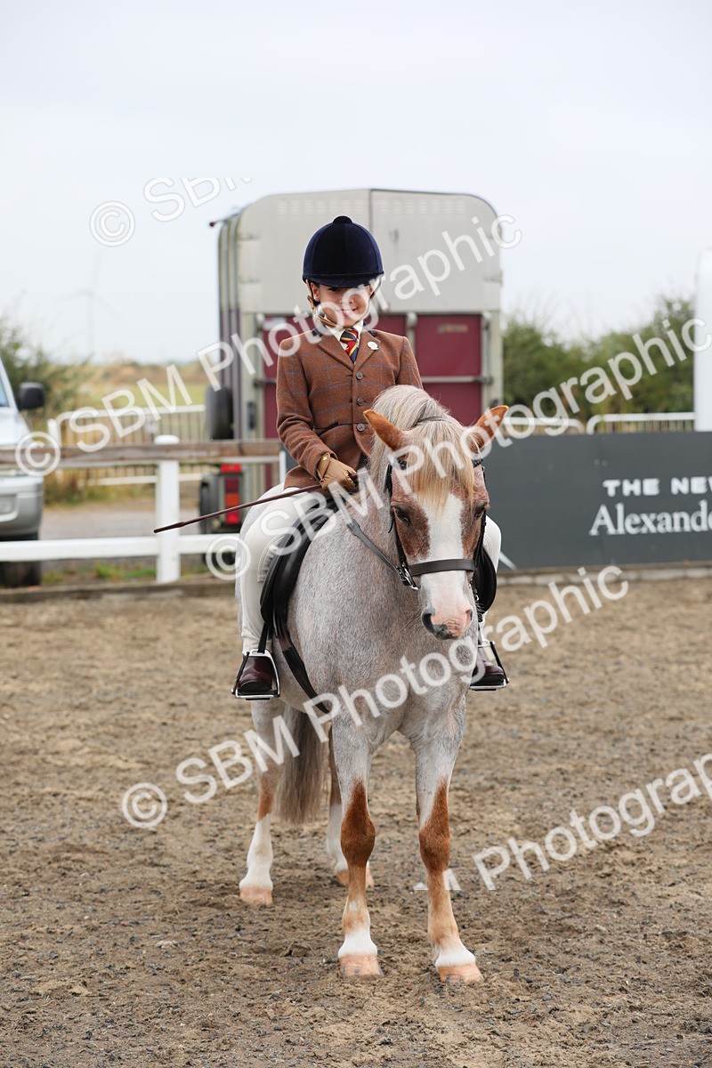 SBM_21754 - Class 806 - Young ridder 10 Yr & Under