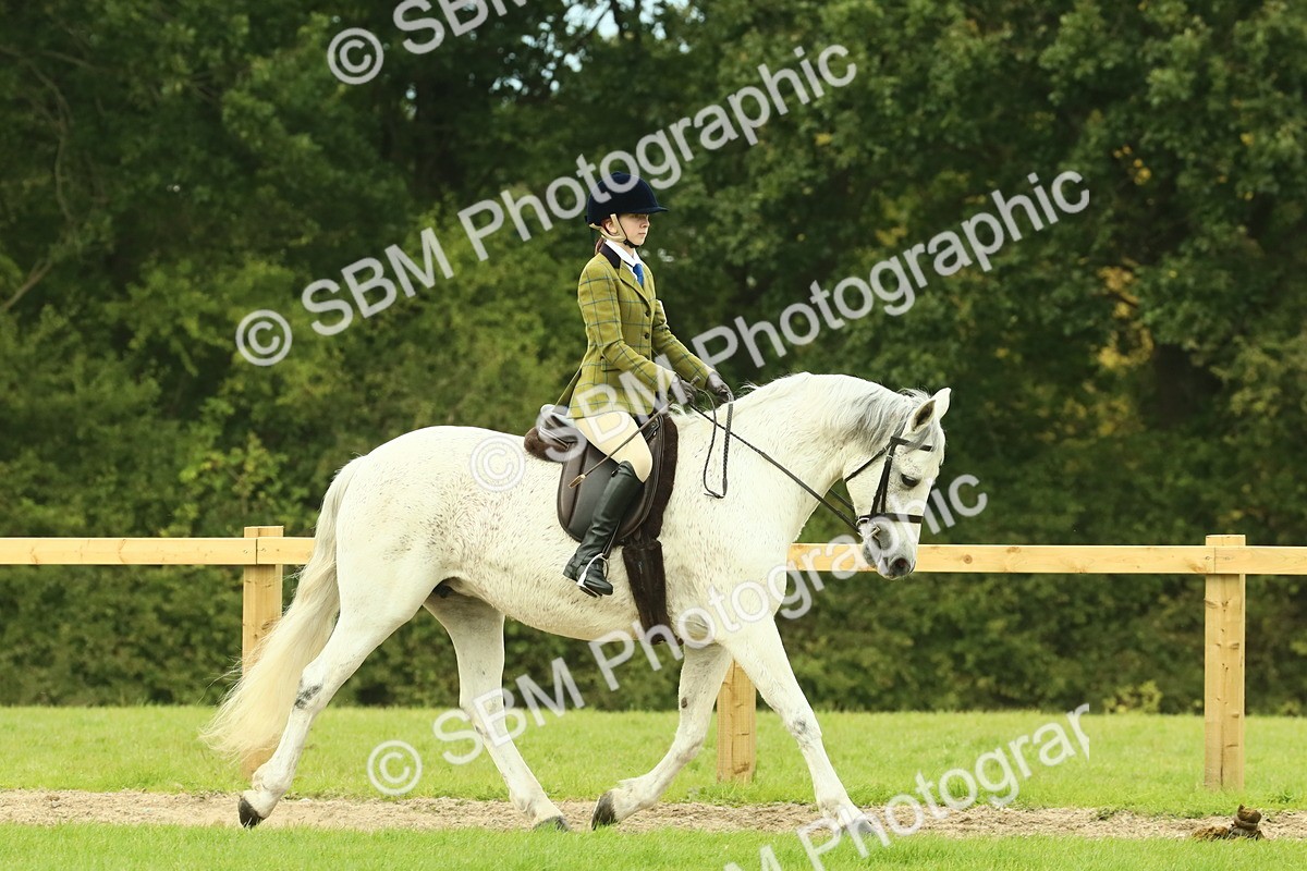 SBM_71864 - S60 - Mountain & Moorland Ridden Large Breeds
