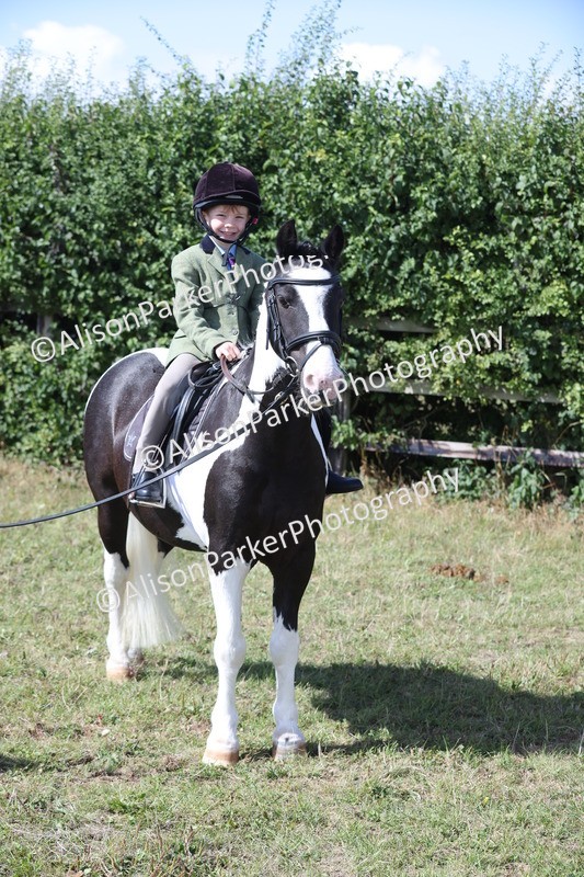 20250831-2546 - Class 16 - Family Pony