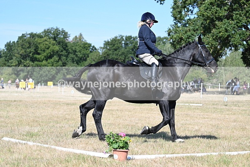 WJ7_9930 - Time 11:03 to 11:28