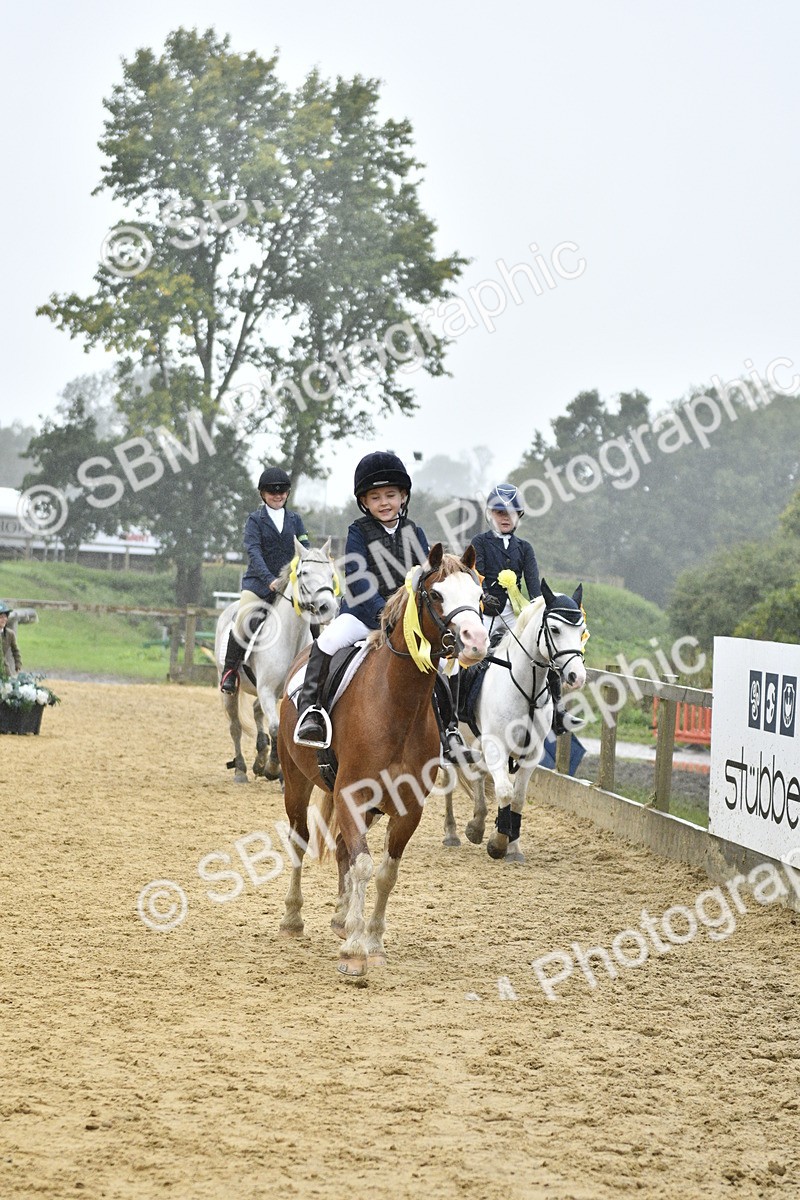 SBM_71056 - J3 - Mini Tour Junior Pony 40cm championship