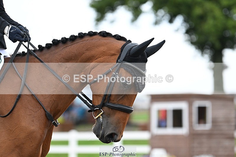 250907-121239-08258 - 066-Alice.KneenSpringtime.Marvel