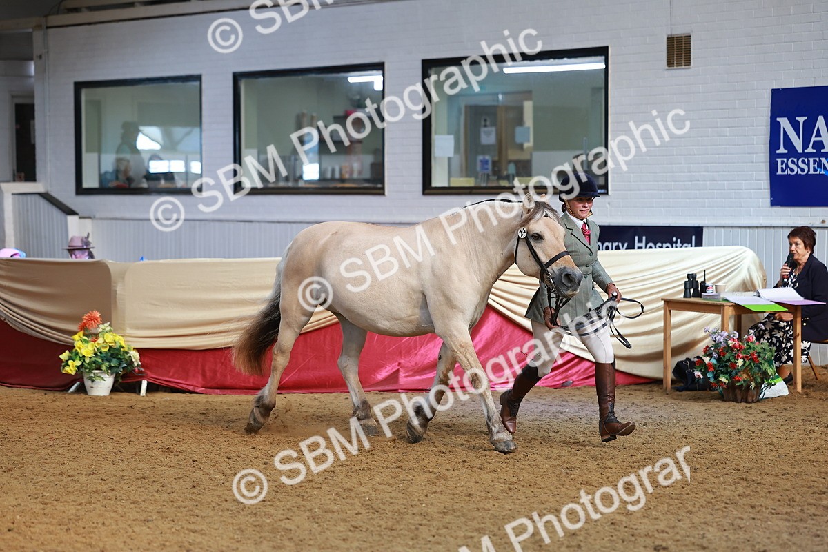 SBM_09548 - Class 102 - HOYS Veteran Qualifier - Ridden Veteran