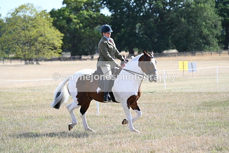 WJ7_2824 - Class 8 Ridden Tack & Turnout