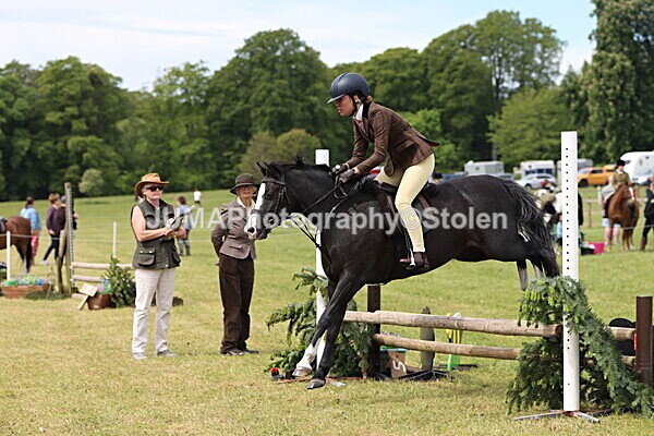 IMG_3208 - Working Hunter