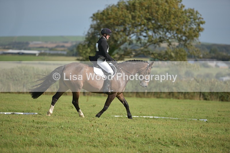 RAY_8034 - Class 2B: Trekenning Open: Dressage