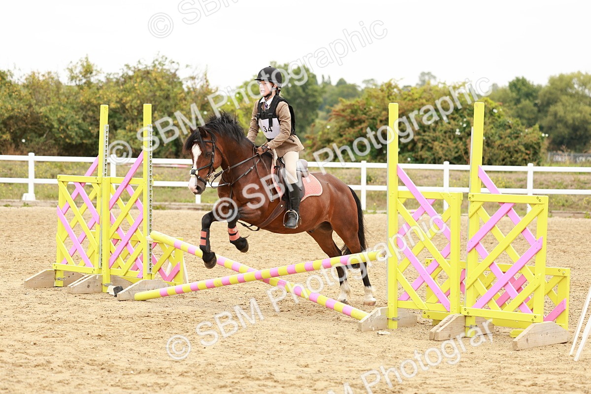 SBM_007293 - Class 2 - 50cm