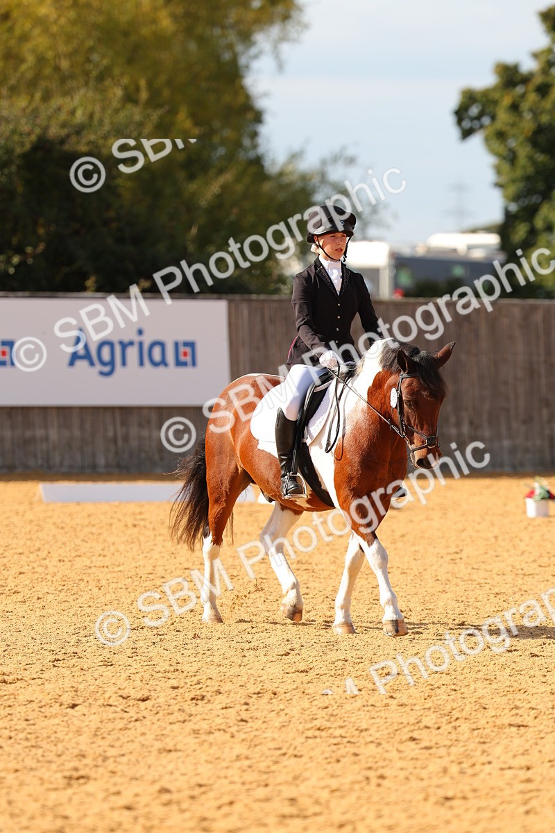SBM_48410 - D6 - Small Tour Championship - Intro C