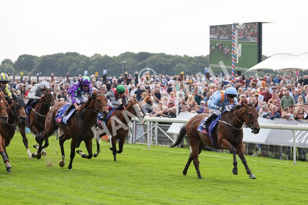 yr18082021r1-56 - Race 1 1.50pm Sky Bet & Symphony Group Stakes