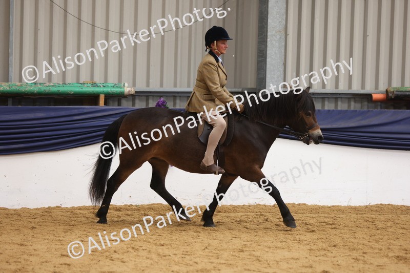 20260913-1679 - Pony of the Year Championship
