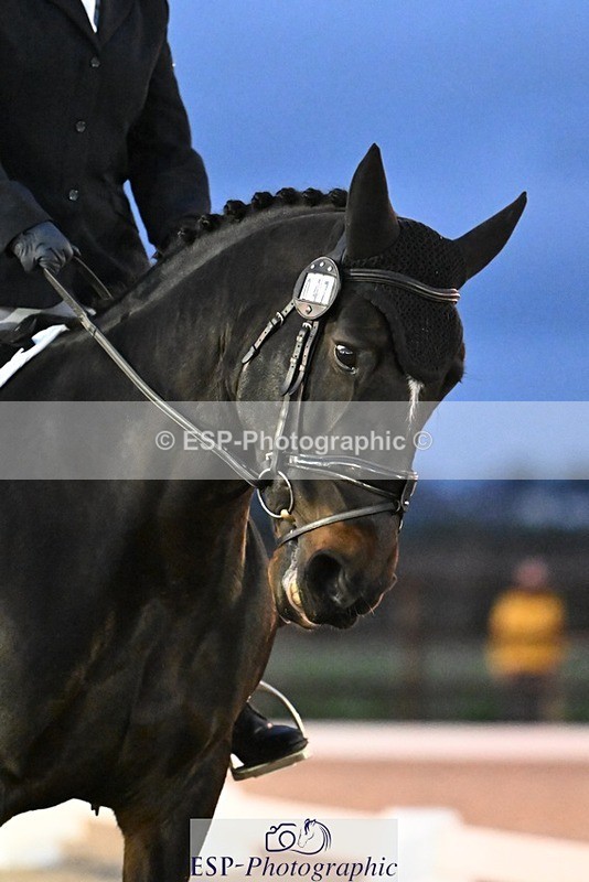 231105-170130-04598 - Cls 5 Novice 27 17.00 to End