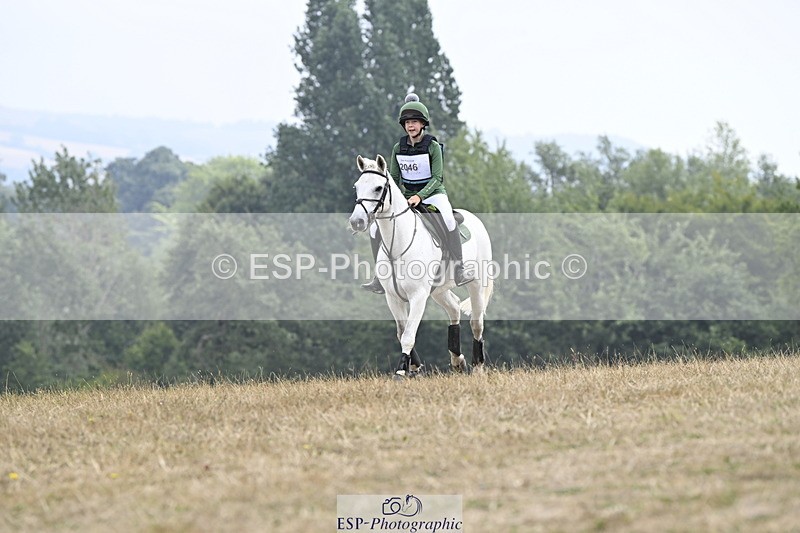 250824A-120836-36236 - 2046-Nancy.Carter-TVs.Rebel