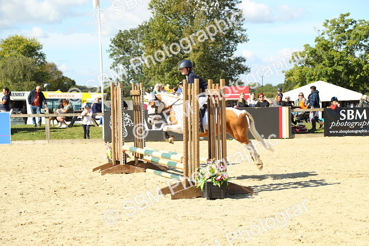 SBM_39346 - J6 - Junior Pony 55cm Championships