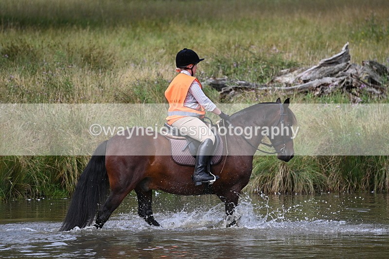 WJ7_0419 - Time at Water 09:19 to 10:04