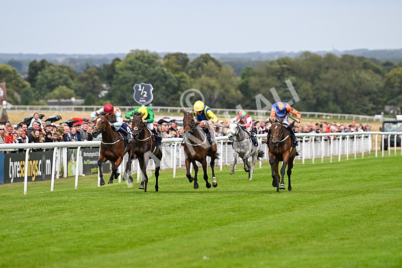 250824-Race 3-Blueandtangerine-3202 - Race 3