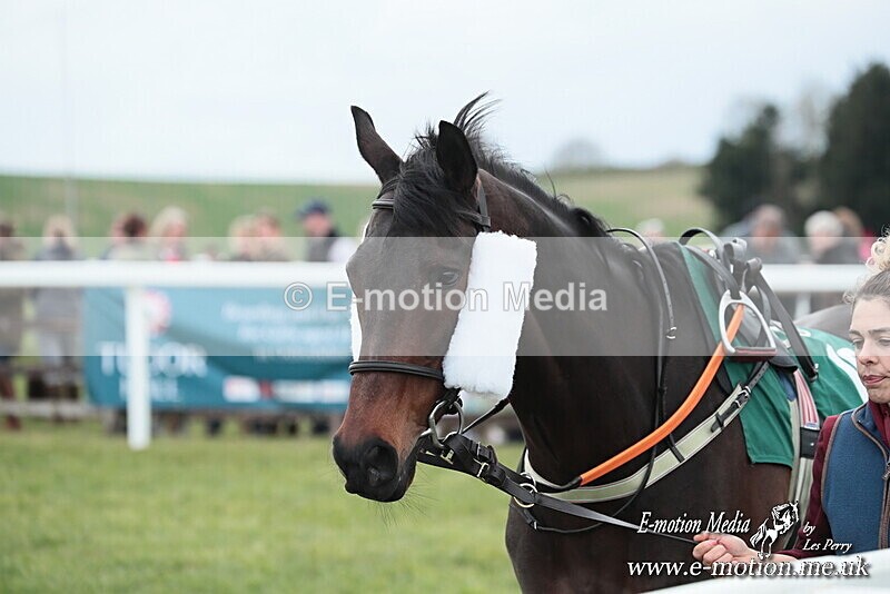 PtP 130425 8 - Edgecote Races 13/04/25