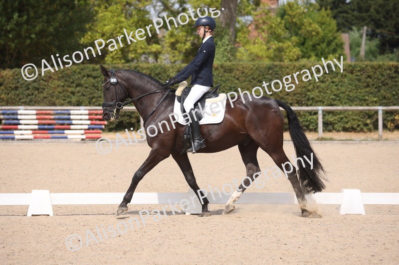 20260816-1083 - Class 4 - Novice 6