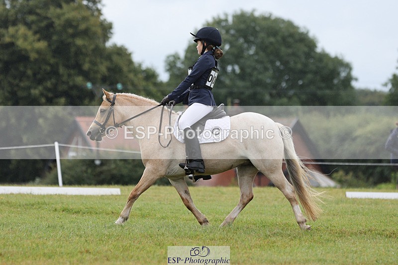 240824X-103642-22274_D70 Section C and D 930 to 1100 - 791-222-2704