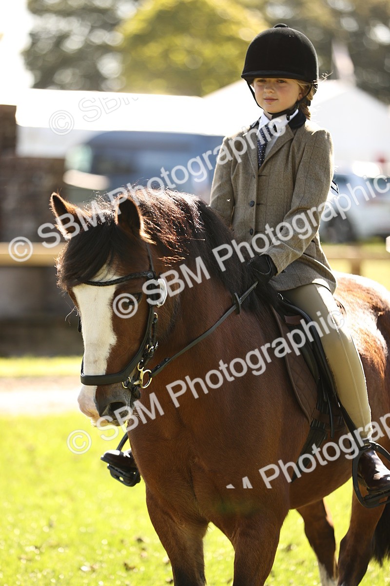 SBM_19093 - S3 - TSR Ridden Pony Showing