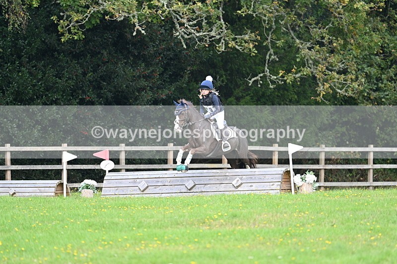 WJ7_4570 - 60cm Time 11:03 to 11:10