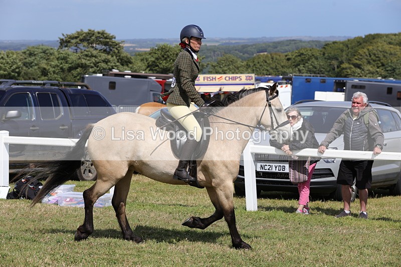 1X9A5532 - Class 38: NPS Novice Ridden Small and Large Breeds