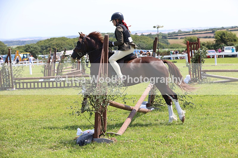 JPP_2404 - Class 21: Working Hunter 60cm