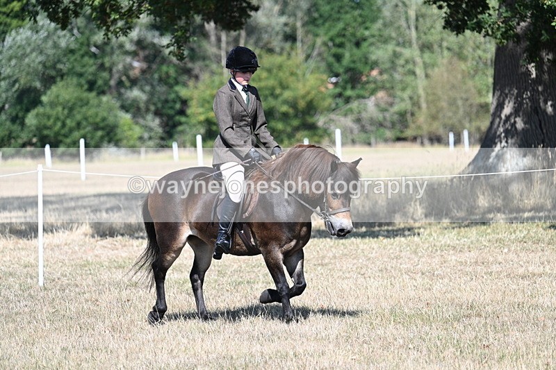WJ7_3956 - Class 9 Mountain & Moorland Ridden