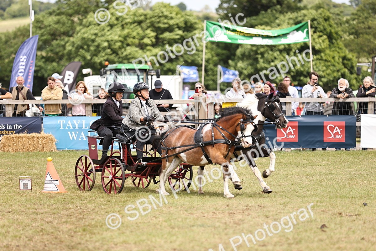 SBM_16031 - Class 91 - Scurry  exceeding 122cms