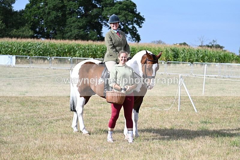 WJ7_2625 - Class 8 Ridden Tack & Turnout