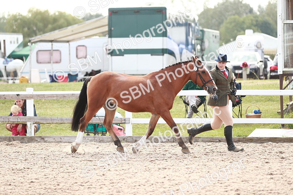 SBM_13839 - Class 209 IH Veteran Pony