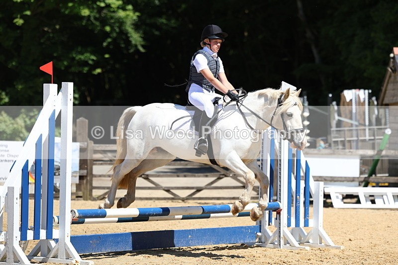 3E7A2522 - Class 4/5: 60cm Open Teams and Individuals