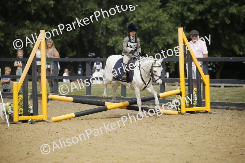 20250622-3739 - 50cm