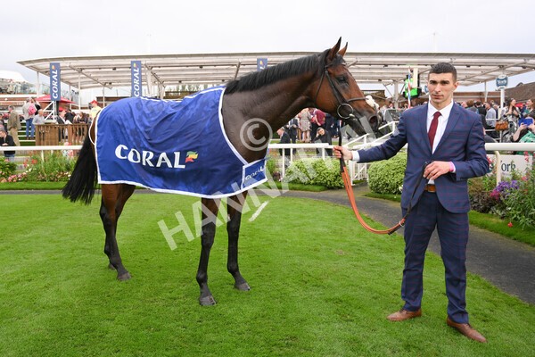 yr09102021r3-46 - Race 3 2.37pm Play Coral Racing-Super-Series For Free Handicap