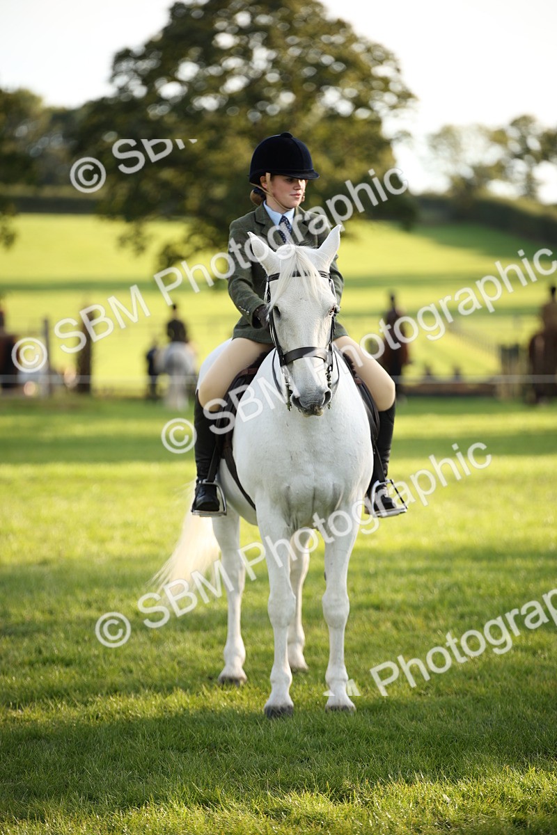 SBM_54401 - S27 - Mature Veteran - Ridden