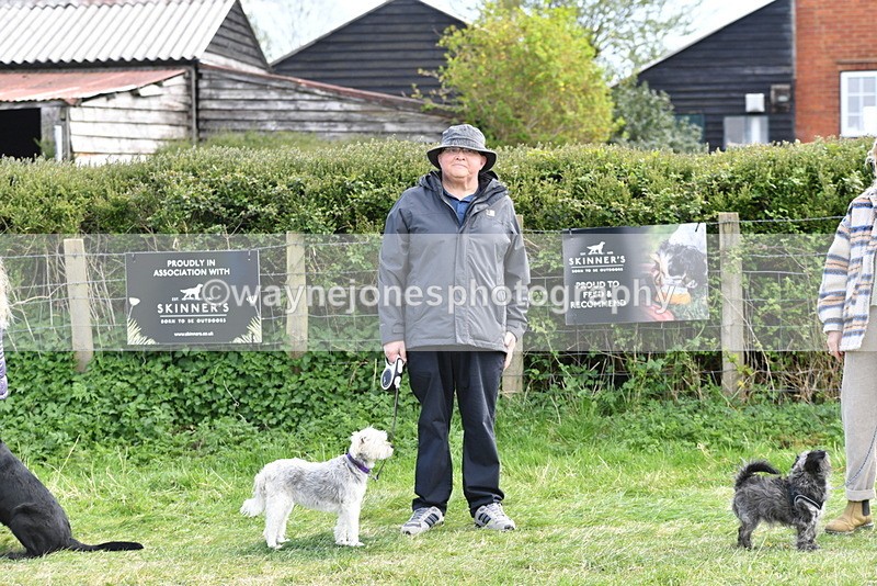 WJ5_0686 - Best in Show Championship