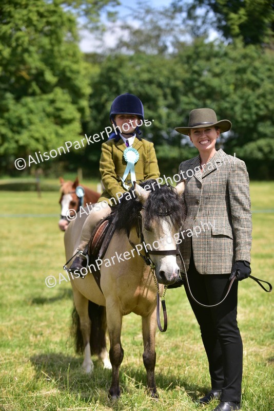 20260614-1321 - Class 11a - Lead Rein Pony (Unplaited)