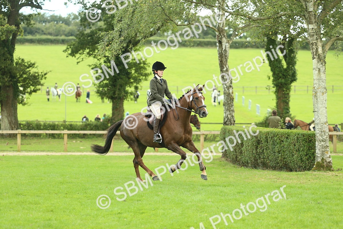 SBM_47969 - S32 - Novice & Newcomers Working Hunter