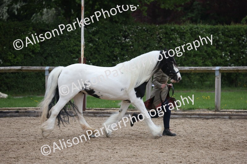 20260504-1370 - Class 8 - Cob and Hunter