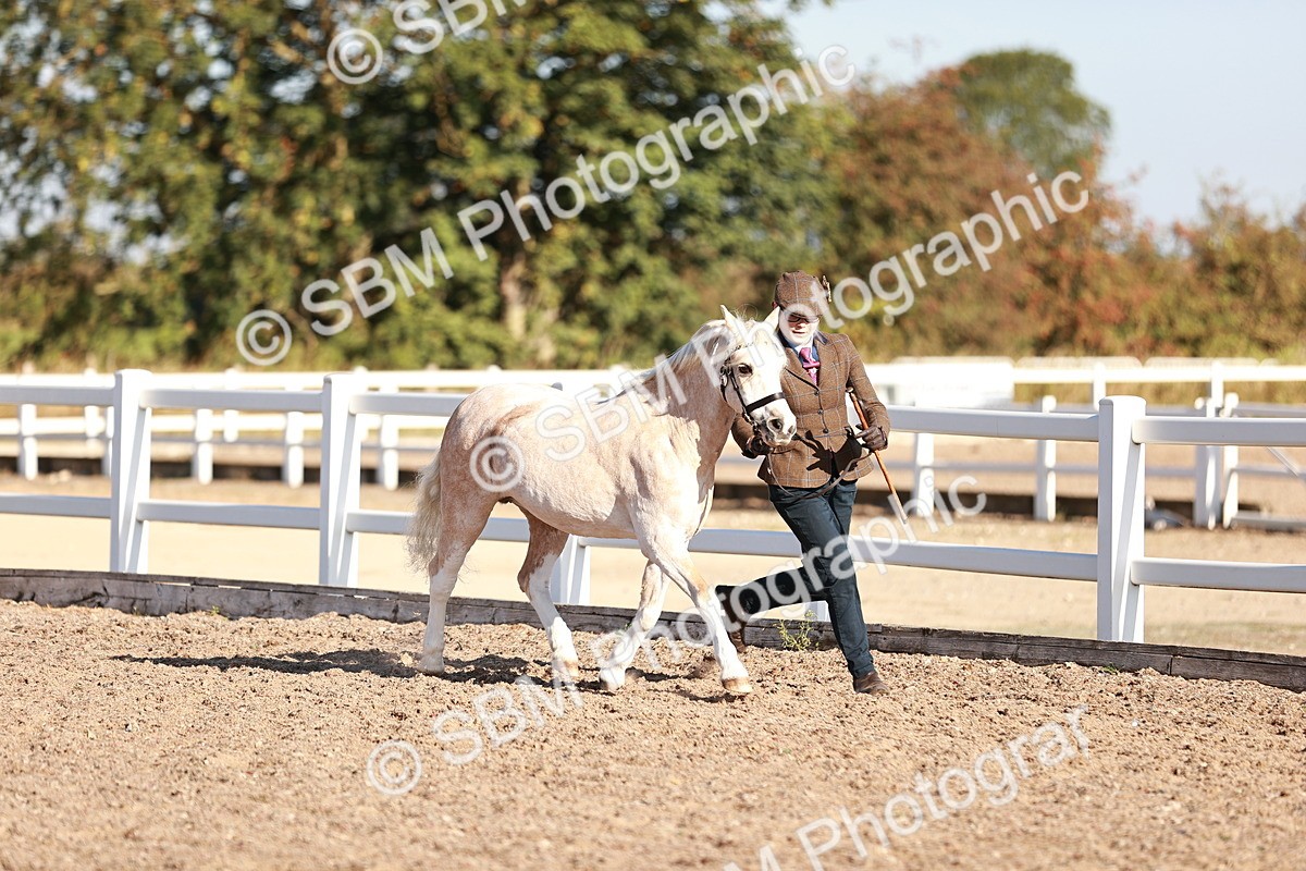 SBM_11373 - Class 402 - IH  Veteran pony