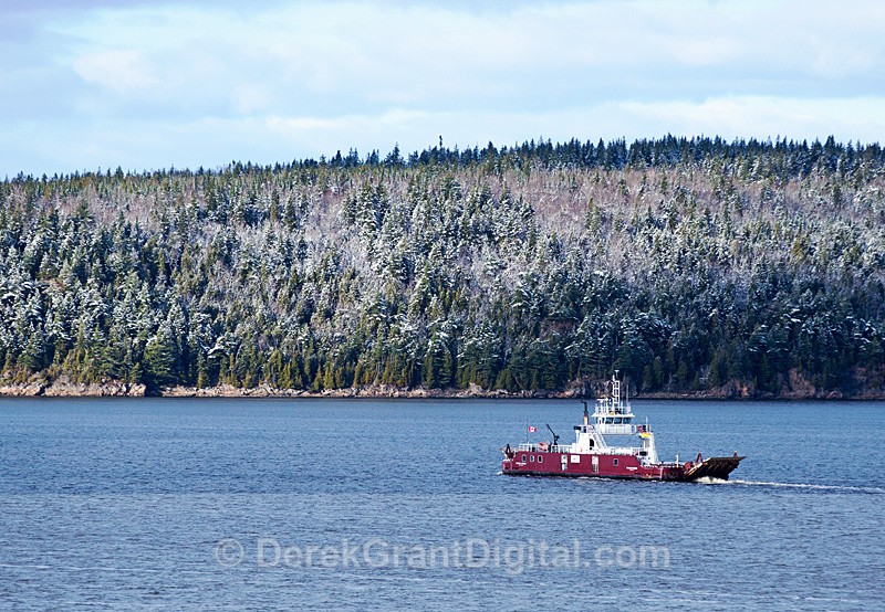 Peninsula Princess in Winter - Winterscape