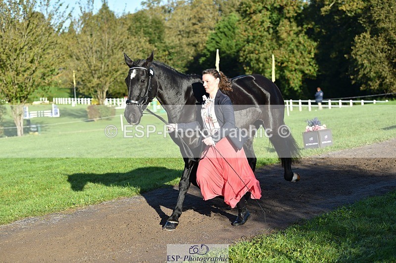 231022-093902-21946 - 414-LAMBORO.SPARKY-Lucy.Jowett-TrotUp+SJ