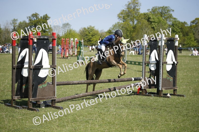 20250427-2116 - Class 13 - Novice Jumping 60cm