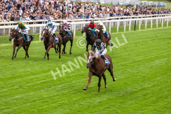230923-Race 2-Palamon-5242 - Race 2 2.35pm jigsawsportsbranding.co.uk Handicap